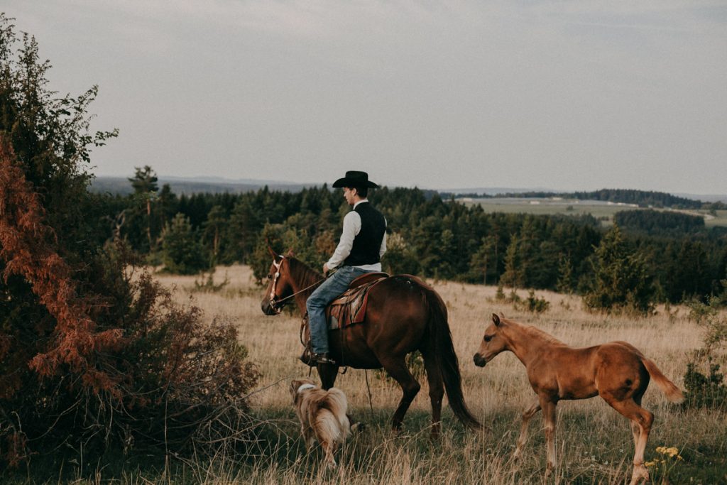 Pawranch-dürbheim-pferdeflüsterer-wersternreiten-reitunterricht-spaichingen